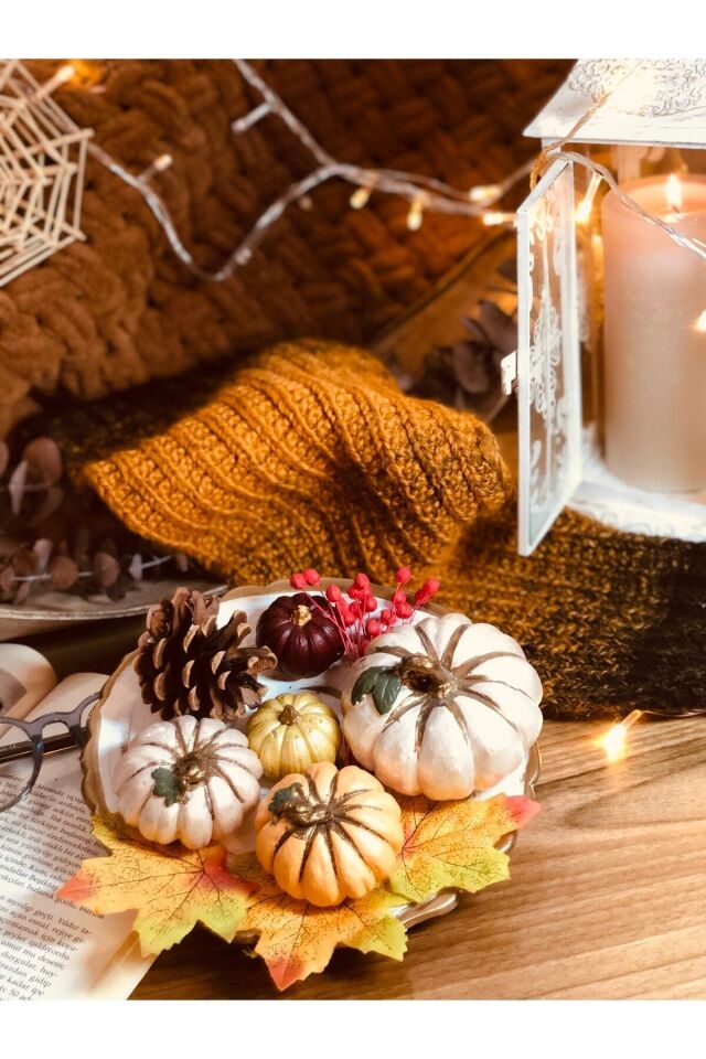 Balkabağı Dekor Set Kuru Bitkiler Ve Sunum Tabağı Dahil - Renkli Biblo Balkabağı Süs Ev Dekorasyon