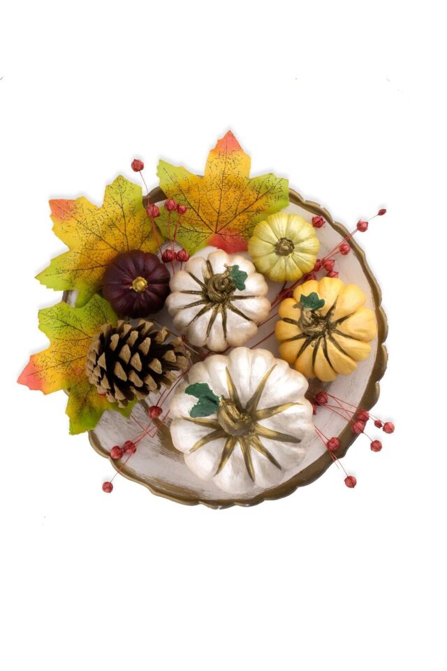 Balkabağı Dekor Set Kuru Bitkiler Ve Sunum Tabağı Dahil - Renkli Biblo Balkabağı Süs Ev Dekorasyon