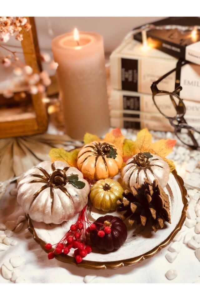 Balkabağı Dekor Set Kuru Bitkiler Ve Sunum Tabağı Dahil - Renkli Biblo Balkabağı Süs Ev Dekorasyon