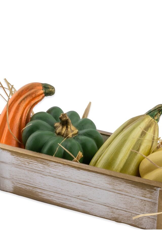 Biber Dekor Set Kasa Set Biblo Dekoratif Biber Obje, Hediyelik süs, Vitrin Objeleri