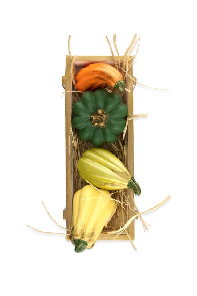 Biber Dekor Set Kasa Set Biblo Dekoratif Biber Obje, Hediyelik süs, Vitrin Objeleri