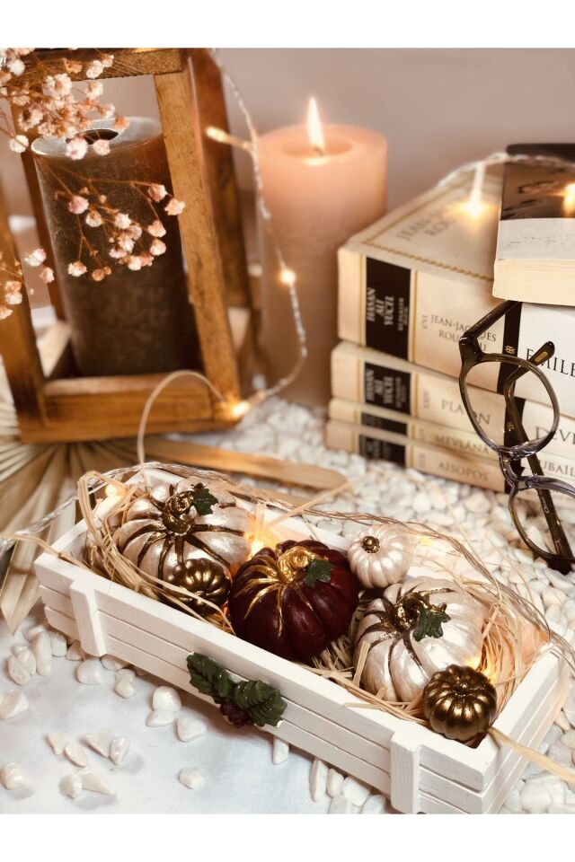 Balkabağı Dekorasyon Set Beton Kasa Ve Kuru Bitkiler Dahil Kabak Set