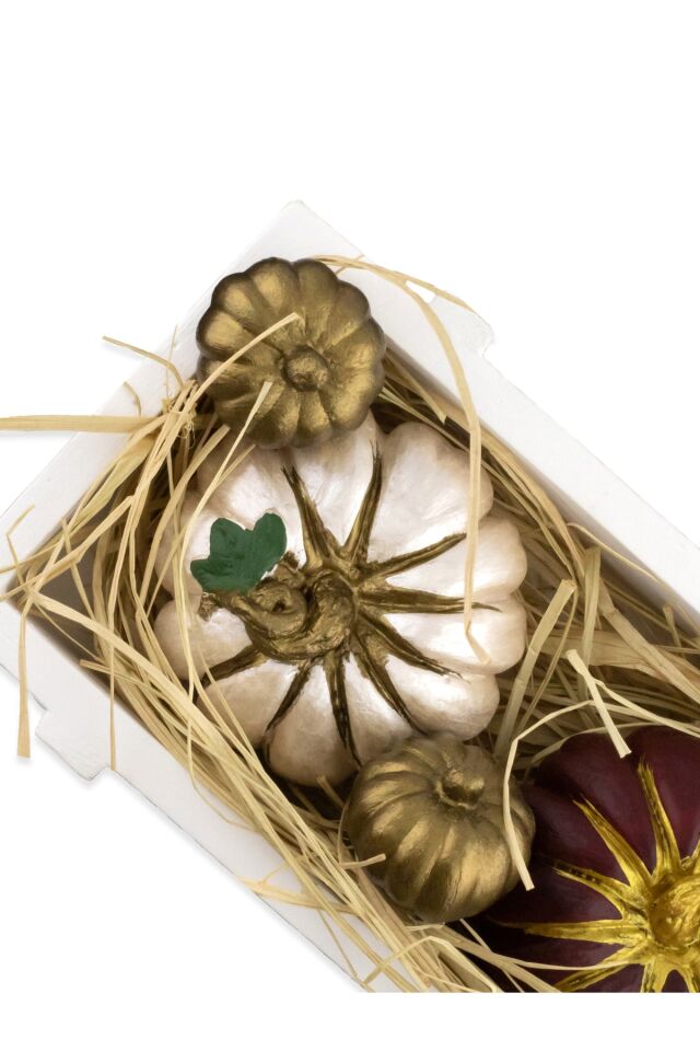 Balkabağı Dekorasyon Set Beton Kasa Ve Kuru Bitkiler Dahil Kabak Set