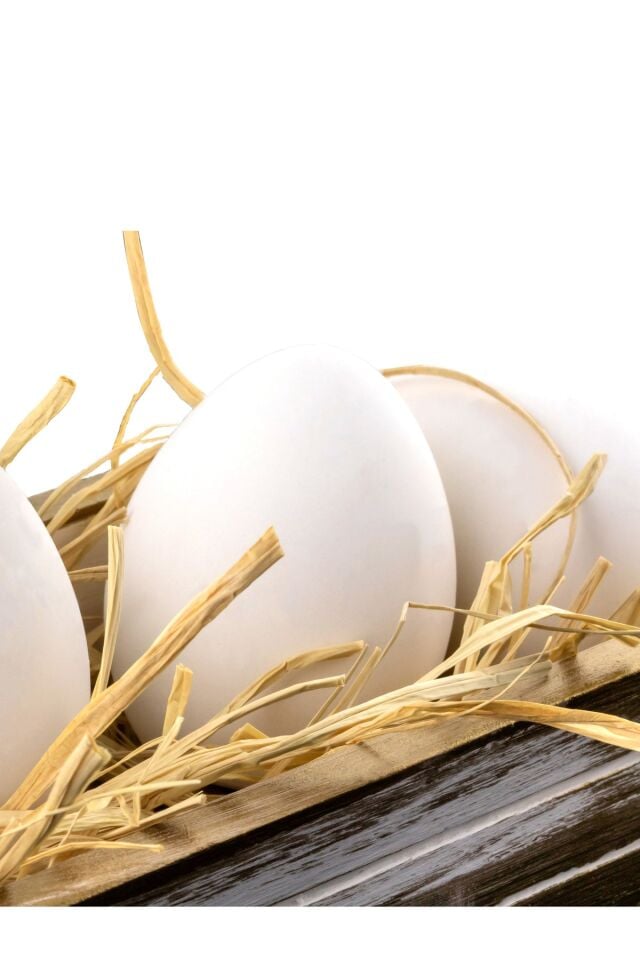 Yumurta Dekor Set Kasa Set Biblo Dekoratif Yumurta Obje